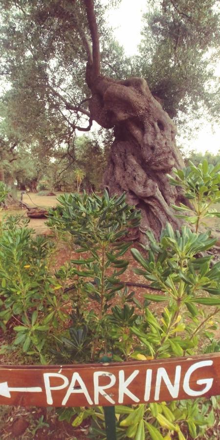La Piana Degli Ulivi Bed and Breakfast Rossano Εξωτερικό φωτογραφία