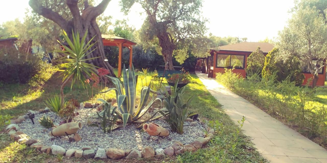 La Piana Degli Ulivi Bed and Breakfast Rossano Εξωτερικό φωτογραφία