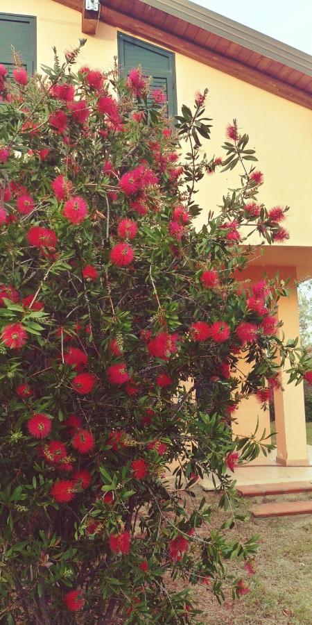 La Piana Degli Ulivi Bed and Breakfast Rossano Εξωτερικό φωτογραφία