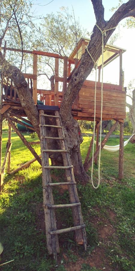 La Piana Degli Ulivi Bed and Breakfast Rossano Εξωτερικό φωτογραφία