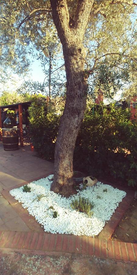 La Piana Degli Ulivi Bed and Breakfast Rossano Εξωτερικό φωτογραφία