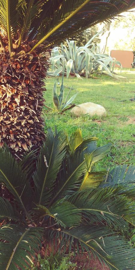 La Piana Degli Ulivi Bed and Breakfast Rossano Εξωτερικό φωτογραφία