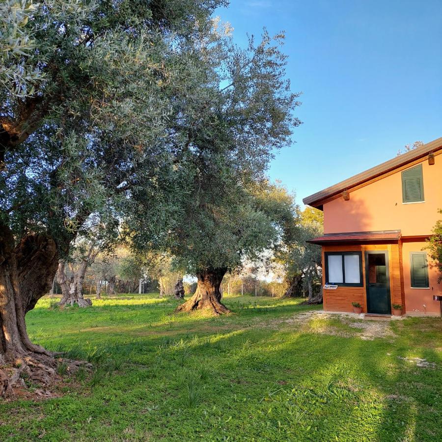 La Piana Degli Ulivi Bed and Breakfast Rossano Εξωτερικό φωτογραφία