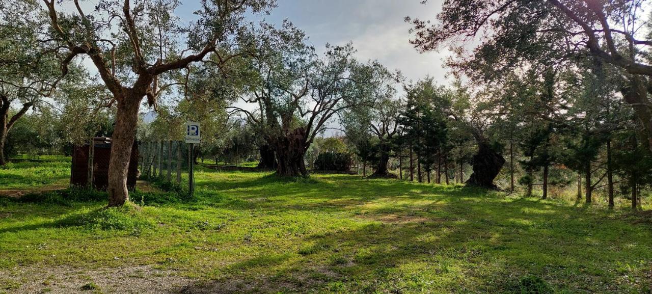 La Piana Degli Ulivi Bed and Breakfast Rossano Εξωτερικό φωτογραφία
