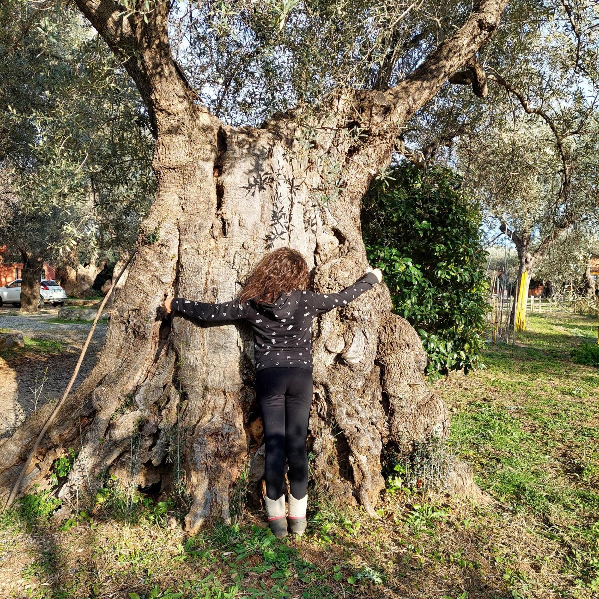 La Piana Degli Ulivi Bed and Breakfast Rossano Εξωτερικό φωτογραφία