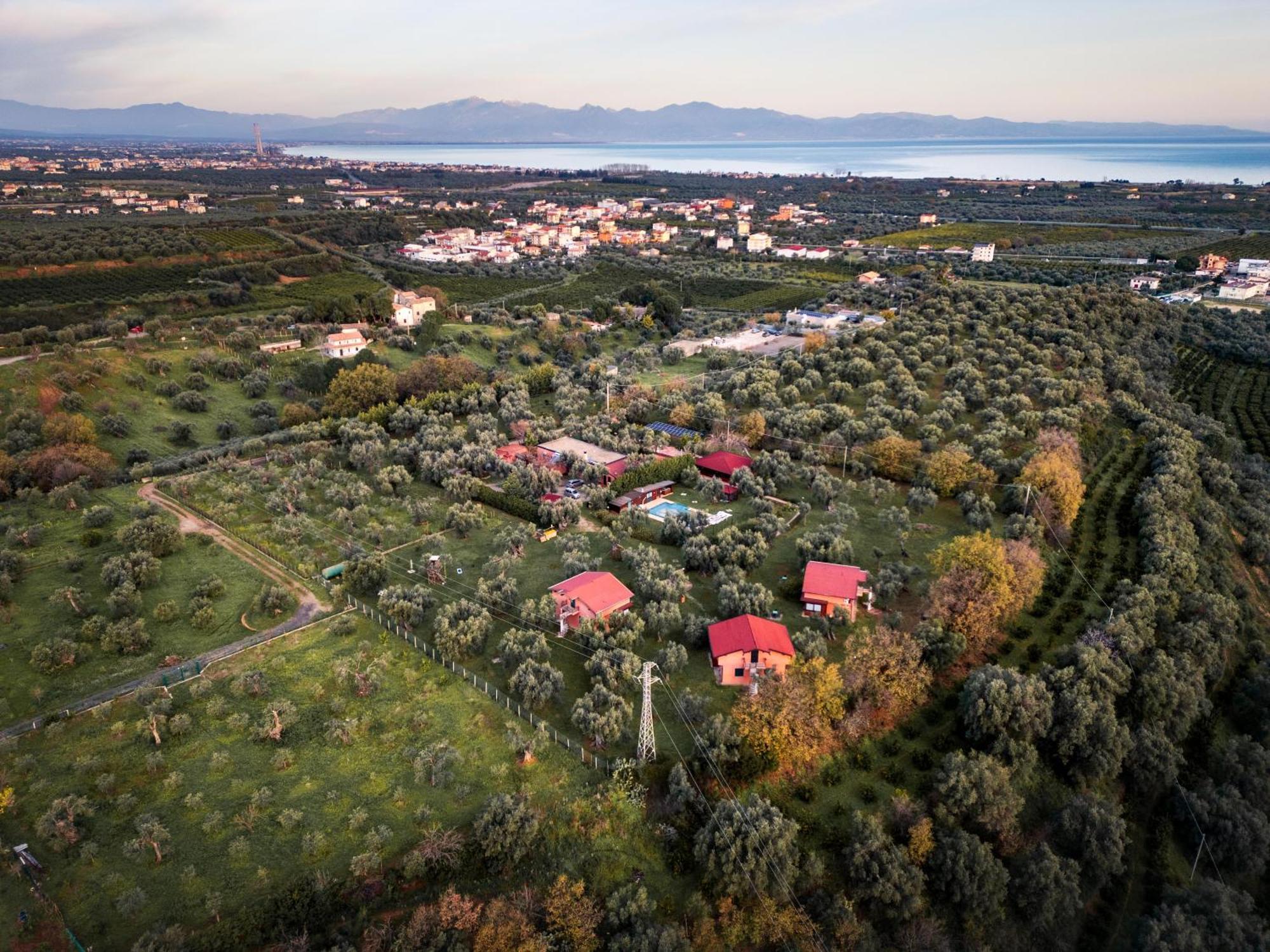 La Piana Degli Ulivi Bed and Breakfast Rossano Εξωτερικό φωτογραφία