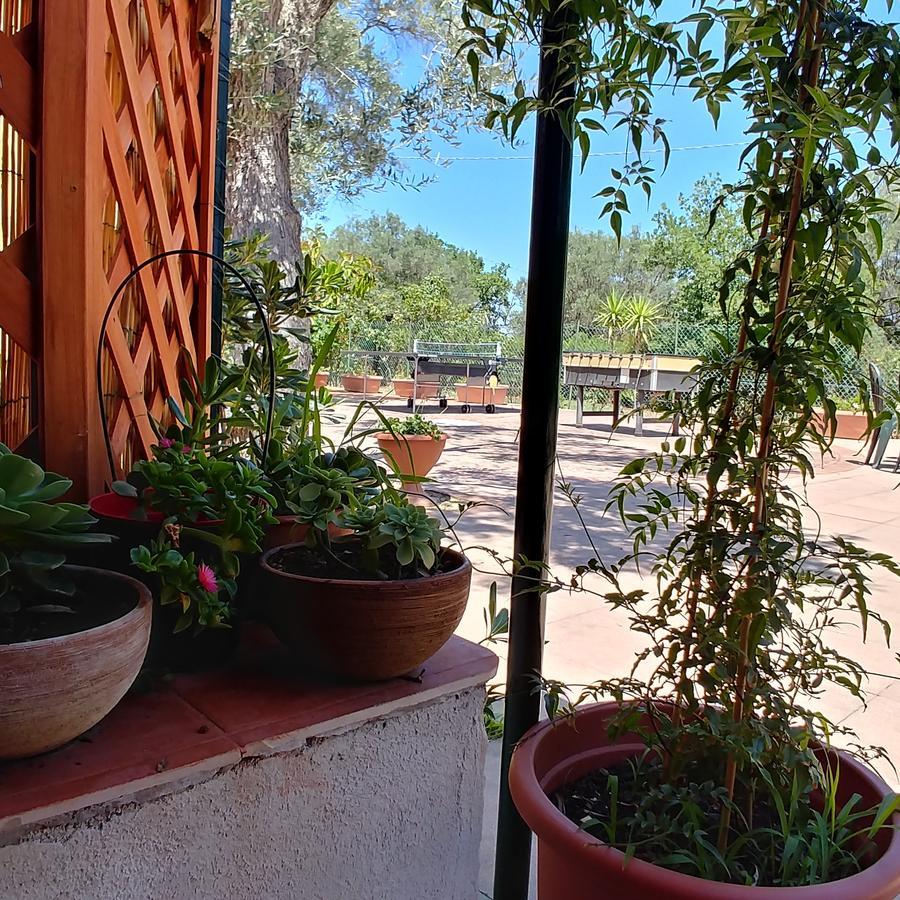 La Piana Degli Ulivi Bed and Breakfast Rossano Εξωτερικό φωτογραφία