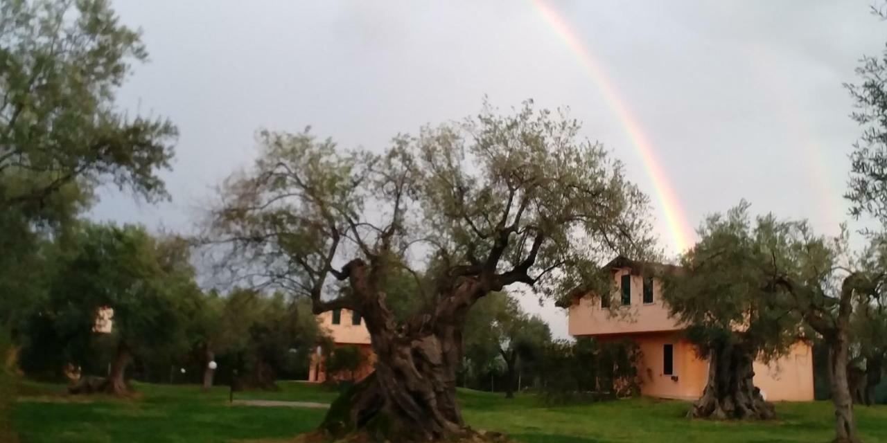 La Piana Degli Ulivi Bed and Breakfast Rossano Εξωτερικό φωτογραφία